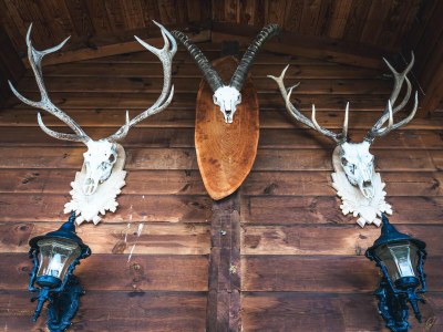 Holiday house Rustic Hut Salzburg near Ski Slopes - Outdoor photo 37