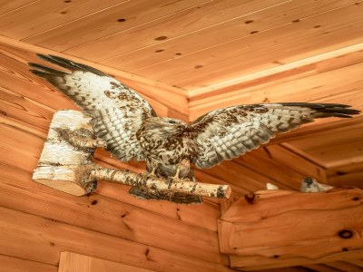 Holiday house Rustic Hut Salzburg near Ski Slopes - Outdoor photo 40