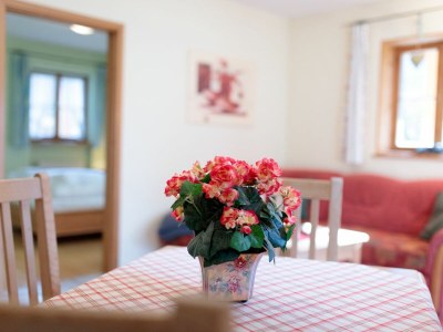 Holiday apartment Alpenglühen - Outdoor photo 10