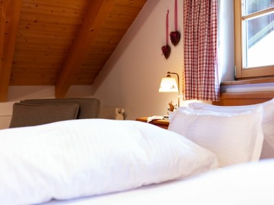 Holiday apartment Gipfelglück - Outdoor photo 14