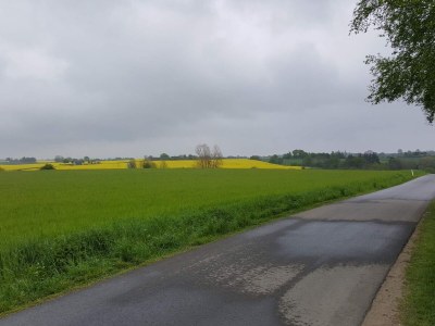 Holiday house 4 Sterne Ferienhaus in Hornsyld - Outdoor photo 23