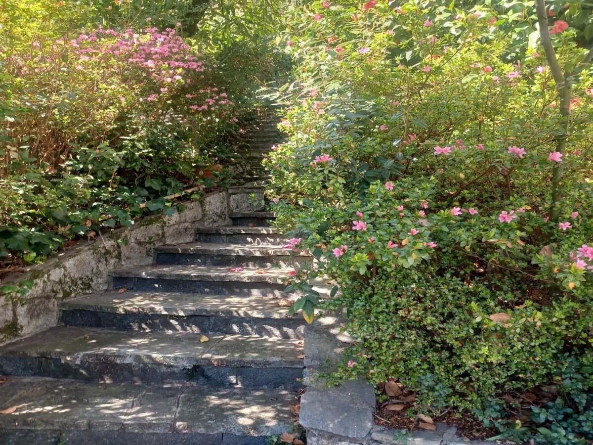 Holiday house Villa in Ghiffa with Lake Maggiore Views - Outdoor photo 4