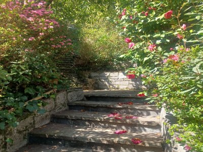 Holiday house Villa in Ghiffa with Lake Maggiore Views - Outdoor photo 5