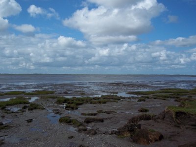 Holiday apartment Unter'm Deich - Environment photo 14