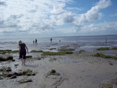 Holiday apartment Unter'm Deich - Environment photo 17