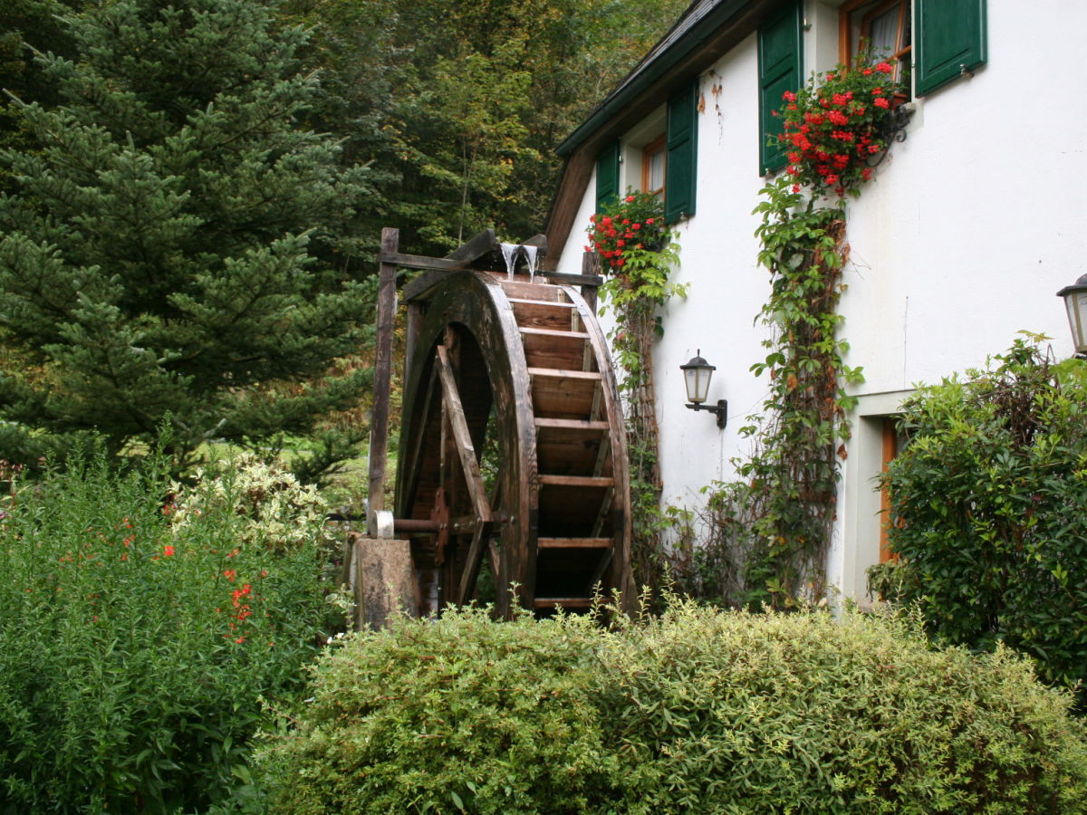 Holiday house Jagdhaus Bischofsmühle - Outdoor photo 4