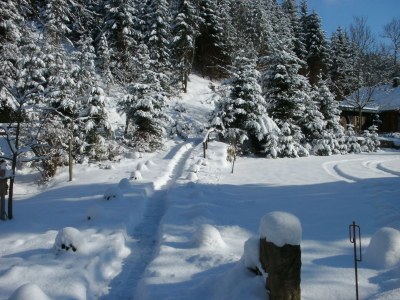 Holiday house Jagdhaus Bischofsmühle - Outdoor photo 12