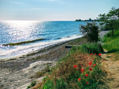 Holiday house 5 person holiday home in Kerteminde - Outdoor photo 37