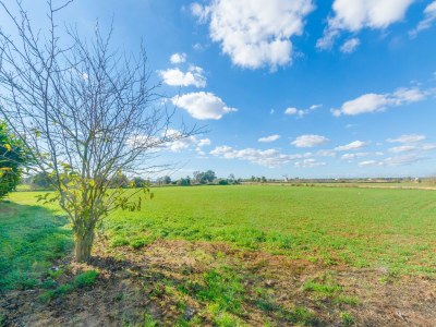 Villa Na Pont - Ferienhaus Mit Privatem Pool In Campos - Environment photo 62