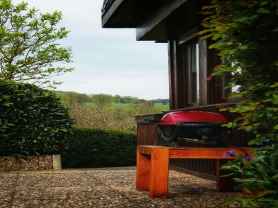 Holiday house Ruhiger Bungalow am Hennesee mit Terrasse - Outdoor photo 7