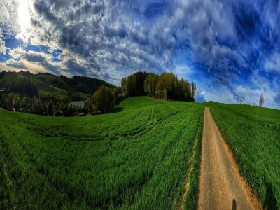 Holiday house Ruhiger Bungalow am Hennesee mit Terrasse - Environment photo 20