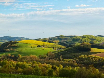 Holiday house Ruhiger Bungalow am Hennesee mit Terrasse - Environment photo 21