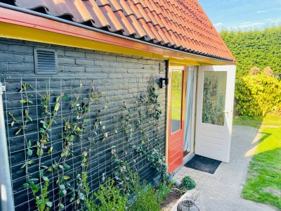 Holiday house Duin & Bos - Outdoor photo 2