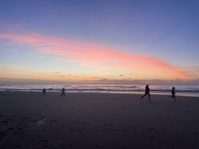 Holiday house Duin & Bos - Environment photo 14