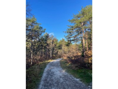 Holiday house Duin & Bos - Environment photo 15