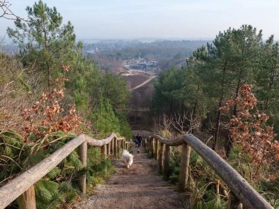 Holiday house Duin & Bos - Environment photo 16