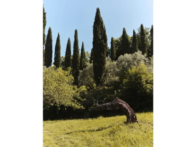 Villa Casa Farsetti - Environment photo 11