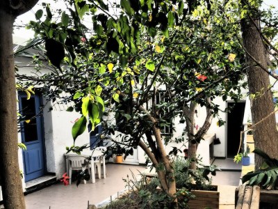 Apartment LE GITE CRETOIS - Environment photo 12