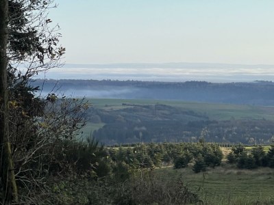 Apartment 4-Bett-Ferienwohnung, Dusche/WC, Nichtraucher - Features photo 20