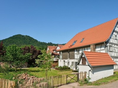 Apartment Haus Nothweiler "Alte Scheune" - Outdoor photo 4