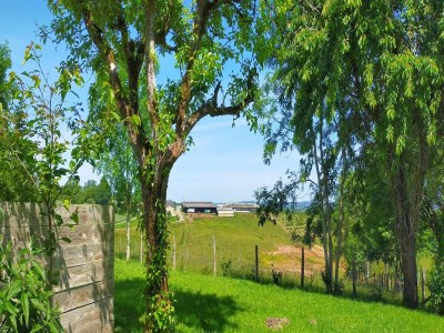 Holiday house Charming House in Coubjours with Pool - Environment photo 29