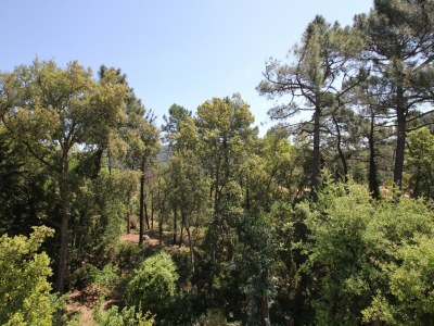 Holiday house Holiday Home in Fréjus with Pool & Tennis - Outdoor photo 5