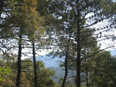 Holiday house Holiday Home in Fréjus with Pool & Tennis - Outdoor photo 9
