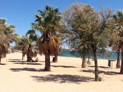 Holiday house Holiday Home in Fréjus with Pool & Tennis - Environment photo 26