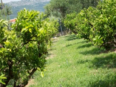 Apartment Spacious apartment in Kastel Novi - Environment photo 20