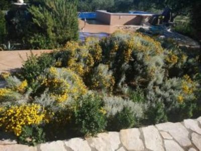 Apartment Spacious apartment in Kastel Novi - Environment photo 28