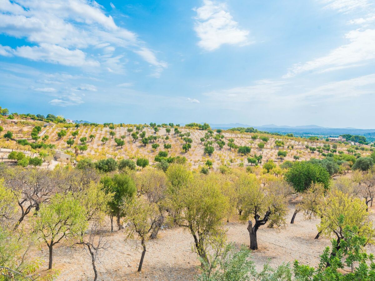 Villa Sa Mata - Villa With Private Pool In Campanet - Outdoor photo 3
