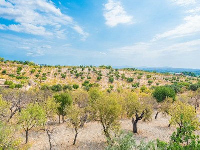 Villa Sa Mata - Villa With Private Pool In Campanet - Outdoor photo 3