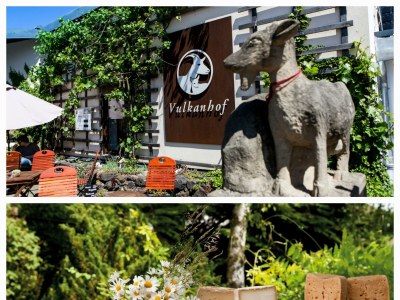 Apartment Ferienwohnung Dusche/WC bis 4 Personen - Outdoor photo 17