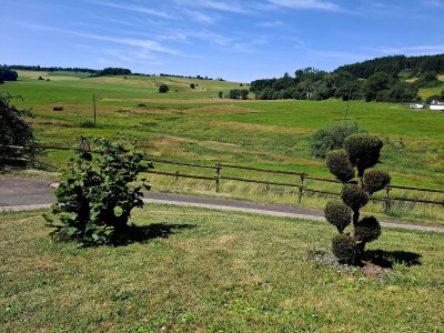 Apartment Ferienwohnung Dusche/WC bis 4 Personen - Outdoor photo 18