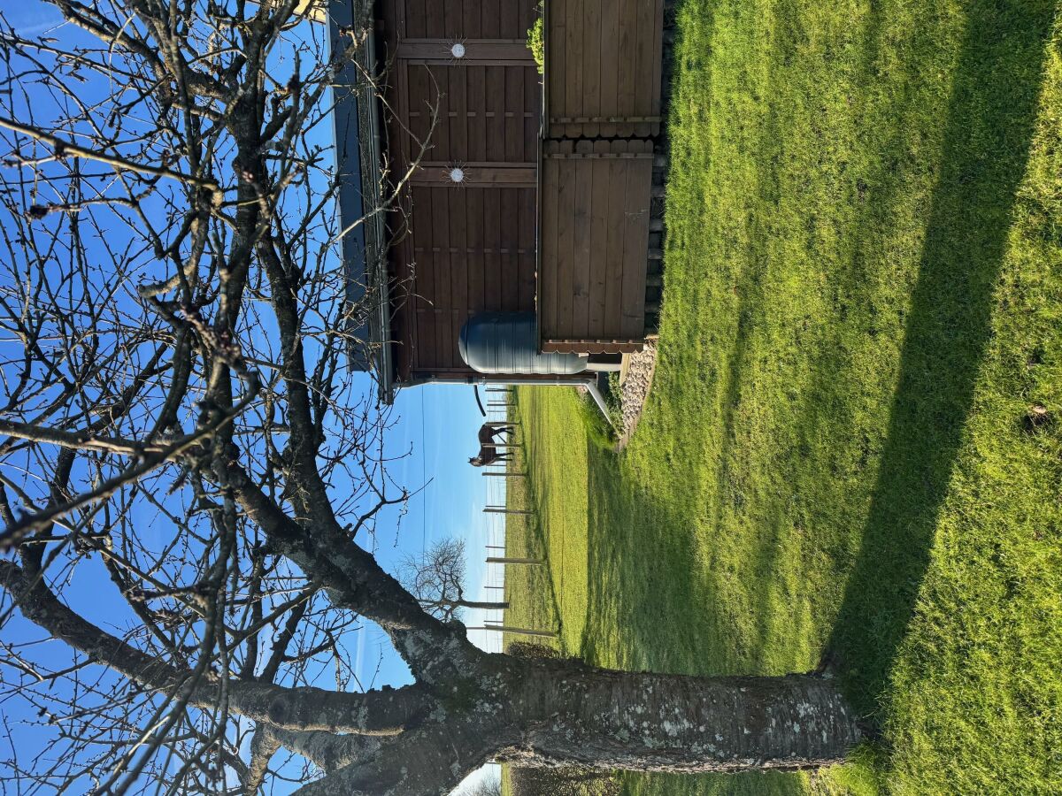 Apartment 3-Bettwohnung - Outdoor photo 5