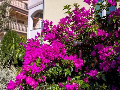 Apartment Charming Apartment Close to the Sea - Outdoor photo 11