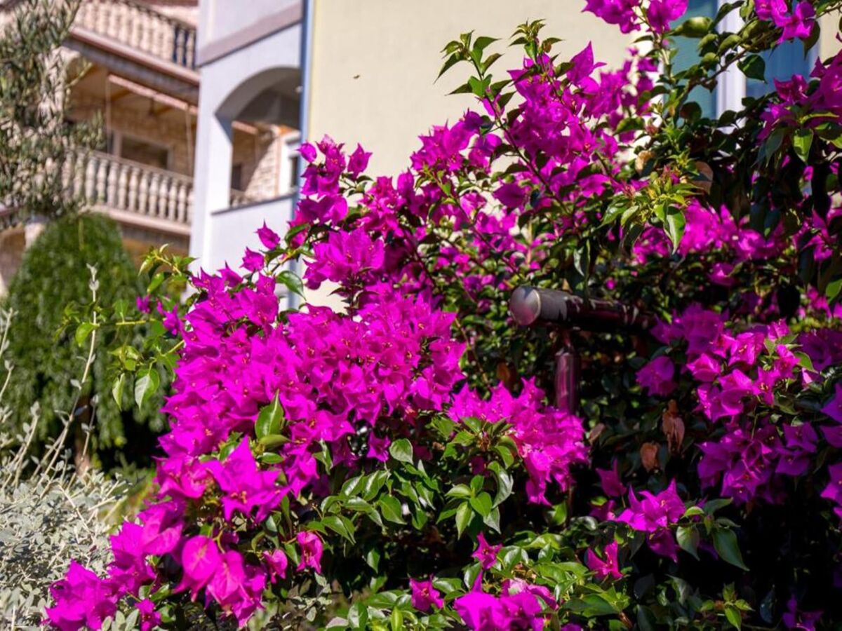 Apartment Wohnung in Kraljevica in der Nähe von Rock Beach - Outdoor photo 5