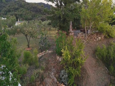 Apartment Seaside Family Apartment in Kampor - Environment photo 30