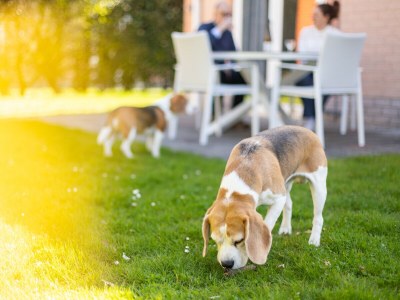 Holiday house Holiday house Duindoorn 9 - Residence de Banjaard - Outdoor photo 6