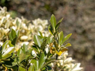 Holiday house Holiday house Duindoorn 9 - Residence de Banjaard - Outdoor photo 7