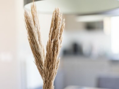 Holiday house Holiday house Duindoorn 9 - Residence de Banjaard - Features photo 18