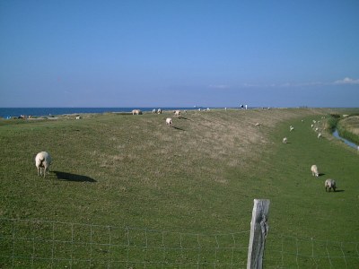 Holiday apartment "The beach castle" (Nick name of the house) - Environment photo 12