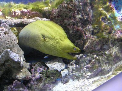 Holiday apartment "The beach castle" (Nick name of the house) - Environment photo 15