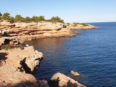 Finca Pachamama - Environment photo 24