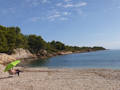 Finca Pachamama - Environment photo 25