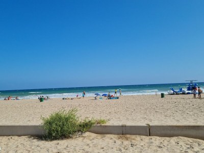 Finca Pachamama - Environment photo 26