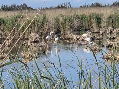 Finca Pachamama - Environment photo 27
