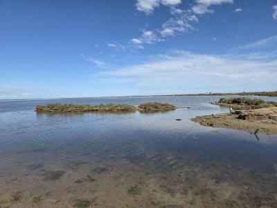 Finca Pachamama - Environment photo 28