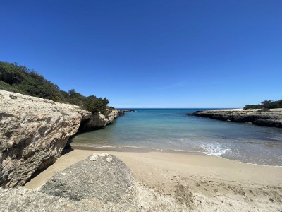 Villa Sestosenso - Environment photo 33