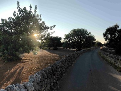 Villa Sestosenso - Environment photo 35